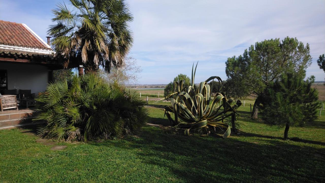 Lodge Monte Do Sobral Alcáçovas Eksteriør billede