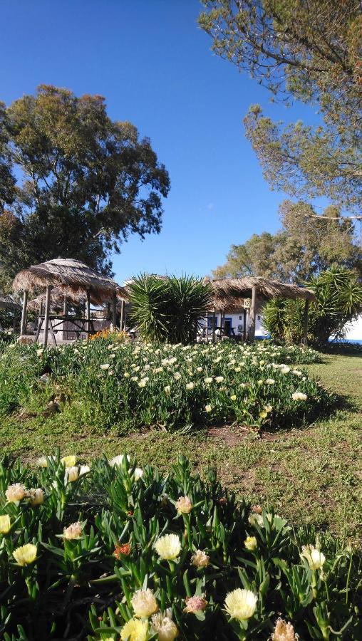Lodge Monte Do Sobral Alcáçovas Eksteriør billede